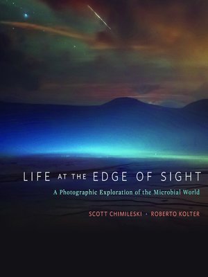 cover image of Life at the Edge of Sight